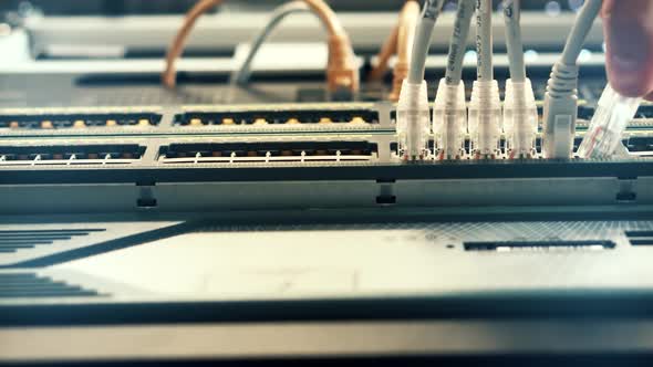 Technician Testing Network Connection. Hardware Updates On Server Room. Data Center Network Cable