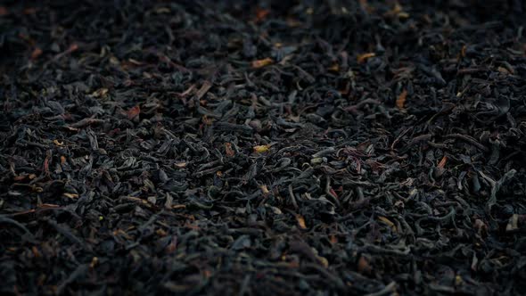 Black Tea Leaves