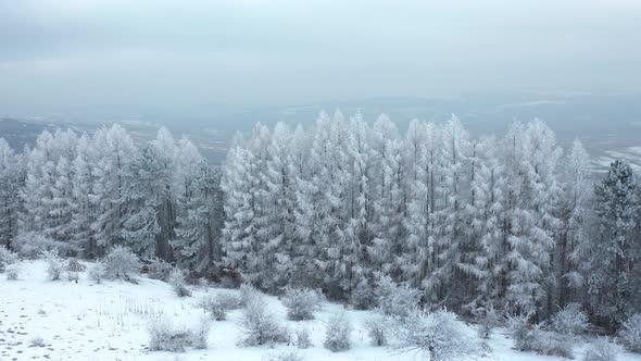 Amazing Nature in Winter in Transylvania