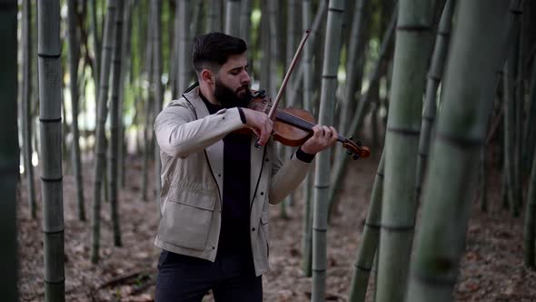 A Professional Street Musician Playing the Violin Plays a Composition in a City Park Standing in the