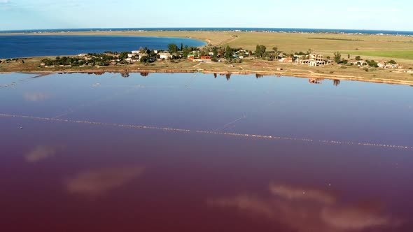 Beautiful top view of the salty, pink lake. Beautiful pink sunset.