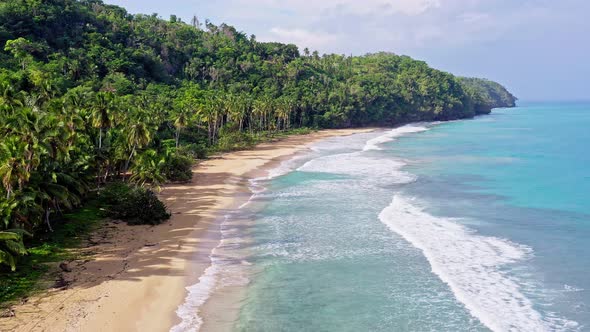 Tropical eden landscape with white beach, blue water and lush green jungle, aerial