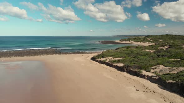 AERIAL TRUCK LEFT Beach Vegetation Foredunes And Ocean Waters