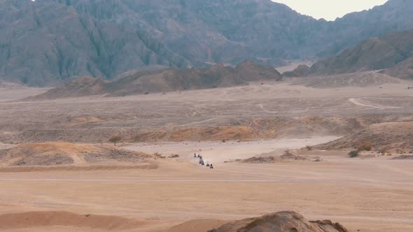 Column of a Quad Bike Rides Through the Desert in Egypt on Backdrop of Mountains. Driving ATVs.