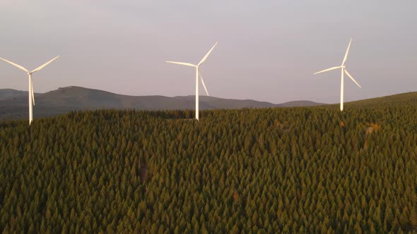 Aerial shot of a wind farm