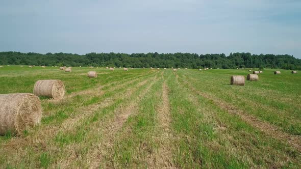 Aerial View of Hay Bales on the Green Field