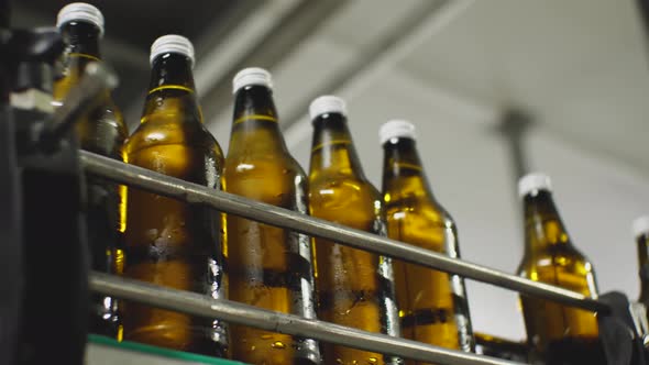 Brown glass water bottles are moving along the conveyor