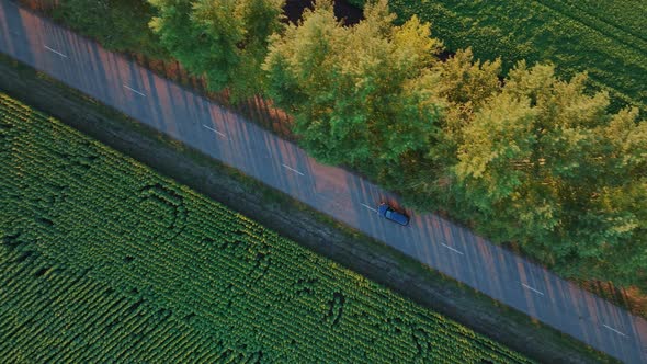 Aerial Footage of a Blue Car Driving Down a Country Road