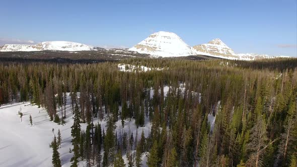 Flying view over a frozen forest in the mountains