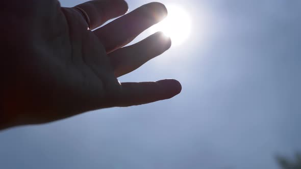 Silhouette Female Hand Reaching Up for the Sky Sun Bright Sunlight on Nature