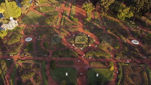 People walk at dusk in Rosedal garden park with beautiful symmetric rose art, Buenos Aires in Argent