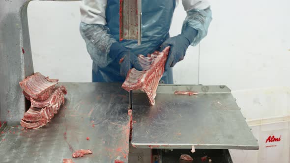 Cut Carcasses of Pork. Closeup of Brush, Spray the Carcass of Pig Meat