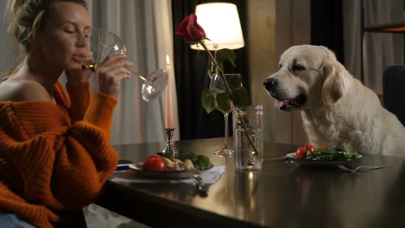 Romantic Dinner for Two Persons Female and Dog Pet