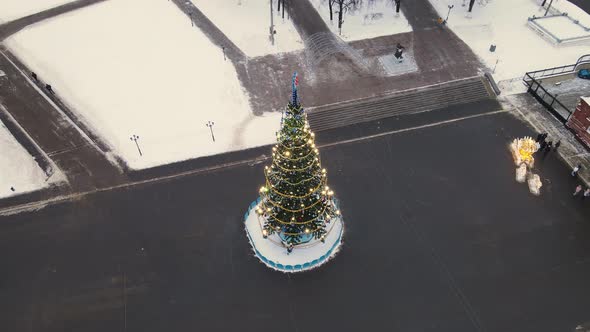 A Beautiful Smart Slender Street New Year Tree on the Town Square