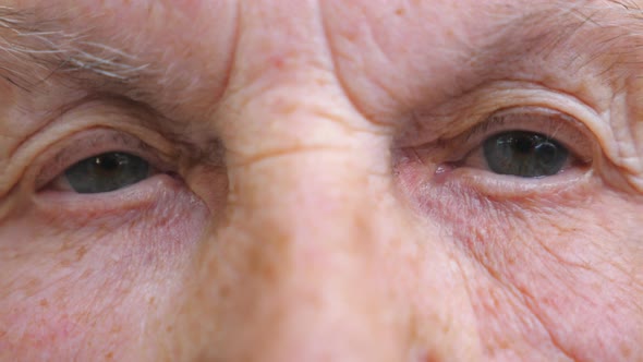 Portrait of Elderly Woman Watching Pensive Into Camera. Close Up of Wrinkled Female Face
