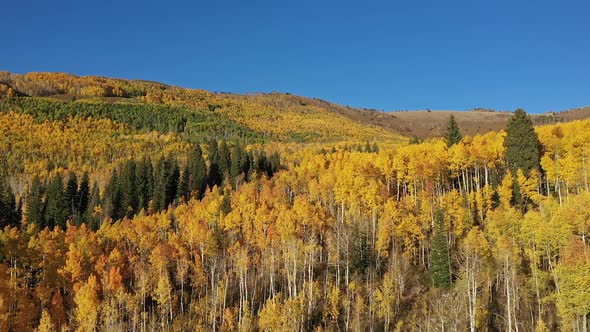 Flying through the mountains in Utah during Fall viewing the yellow