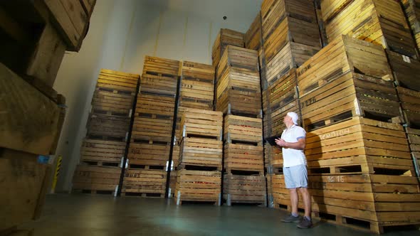 Apple Storage. Warehouse. Stacks of Wooden Crates with Apples in Huge Airless Storage Fridge Camera