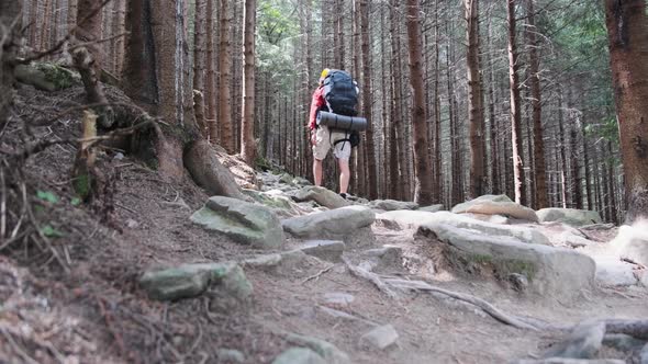 Tourist with a Backpack Walking Up Along the Stone Mountain Trail in the Forest