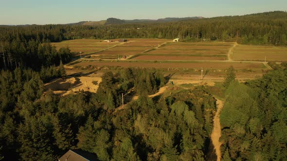 Empty cranberry bogs in spring time in Bandon, Oregon, USA. Drone shot, descending over a residentia