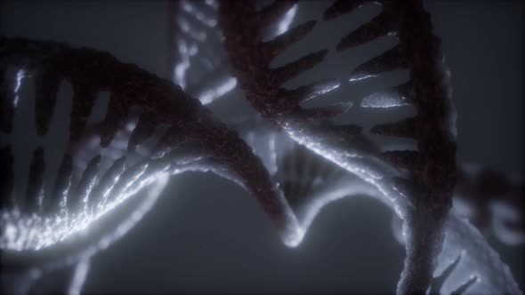 Loop Double Helical Structure of Dna Strand Close-up Animation