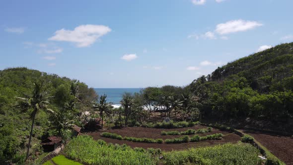 Aerial view of Gunung Kidul Tropical Beach in IndonesiaDji 0529