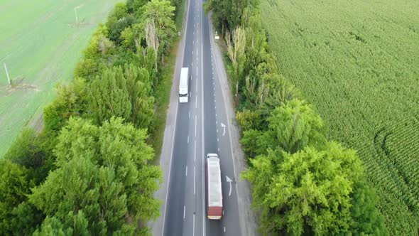 Flight Over the Cream of Trees Along the Highway