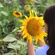 Sunflower, Nice Girl Holding Flower in Her Hand. - VideoHive Item for Sale