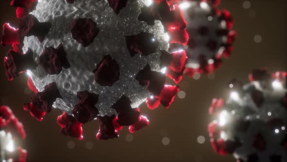 Coronavirus COVID-19 Medical Model alt