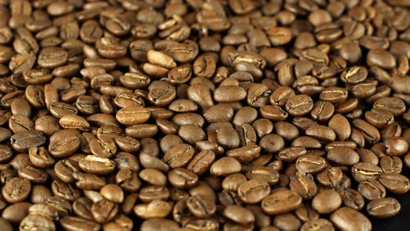 Rotation close-up of coffee beans 360. Golden selected aromatic beans rotate