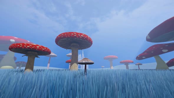 Fantastic World Of Mushrooms