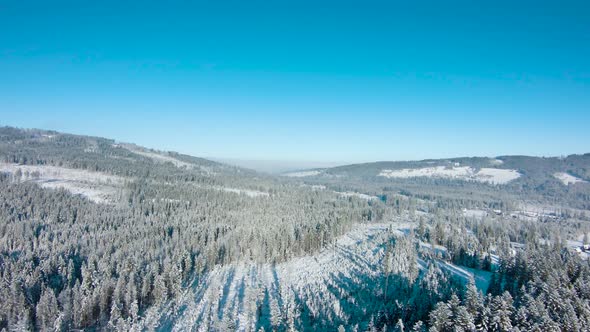 Flight Over a Fabulous Snowcovered Forest on the Slopes of the Mountains