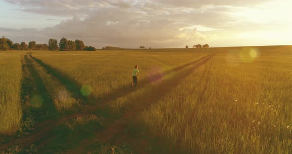 Sporty Child Runs Through a Green Wheat Field. Evening Sport Training Exercises at Rural Meadow. A