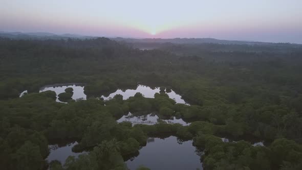 Morning Sunlight Lights Deserted Boundless Tea Plantations