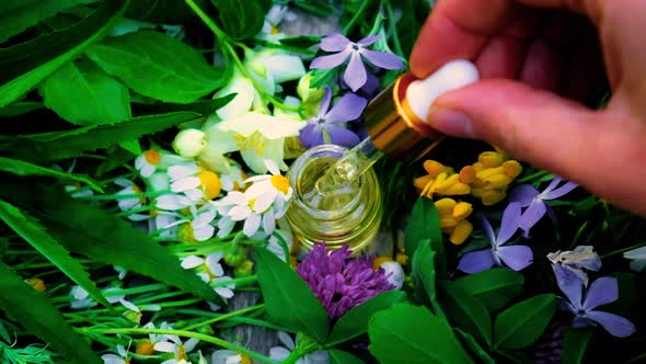 Homeopathy is a Tincture of Medicinal Herbs in a Small Bottle