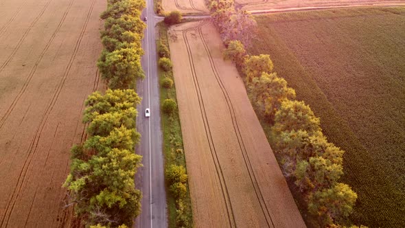 Drone Flying Over Road Between Wheat Fields During Dawn Sunset