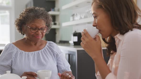 Senior mixed race woman drinking tea with her daughter in social distancing