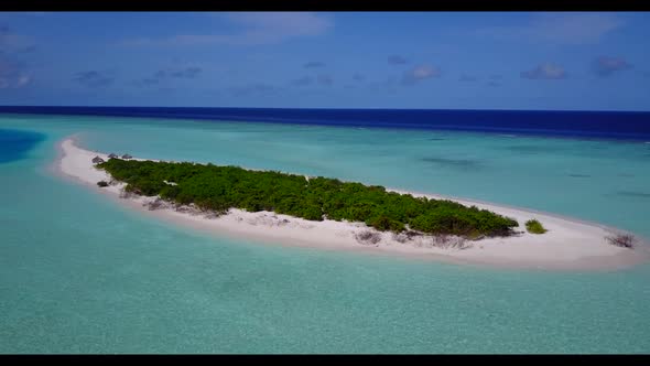 Aerial top down seascape of paradise coastline beach wildlife by clear ocean with white sandy backgr