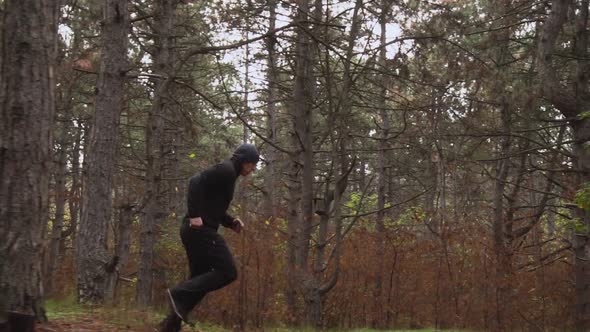 Morning Run Through a Dark Forest Among the Trees