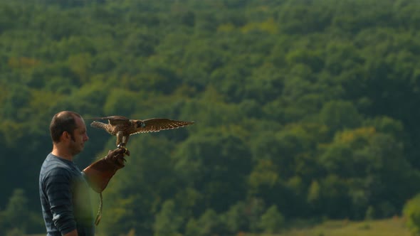 Falconer trainer with his falcon