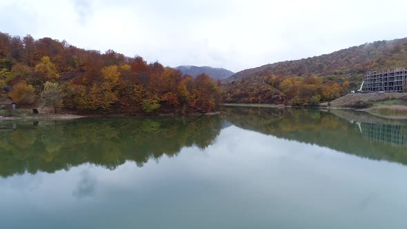 Lake fume forest