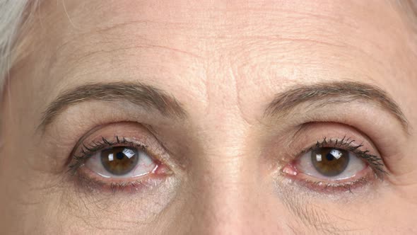 Brown Eyes of Mature Woman Close Up