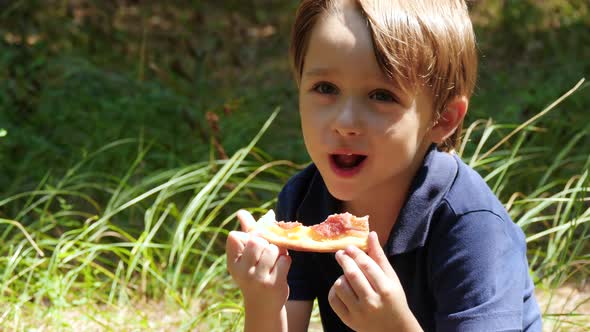 A Little Boy Spends Time on a Picnic in the Park. The Child Bites a Piece of Pizza. Food and Rest