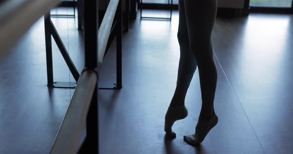 Female Ballerina Legs Near Barre