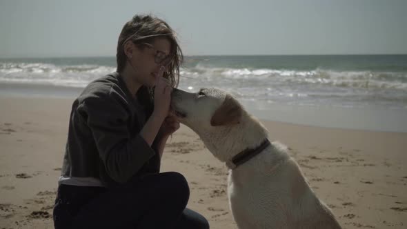 Slow Motion Shot of Wet Dog Giving Paws To Female Owner