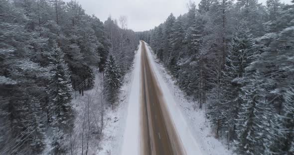 Winter Road in the Forest