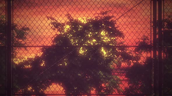 Fence Sunset Hd