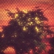 Fence Sunset Hd - VideoHive Item for Sale