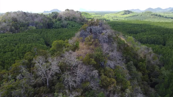 Aerial view of a woman standing on the mountain peak while traveling the mangrove forest viewpoint