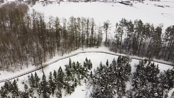 Valley of Junipers in Lithuania covered in snow in aerial drone view