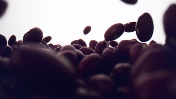 Camera follows dried beans falling on surface. Slow Motion.
